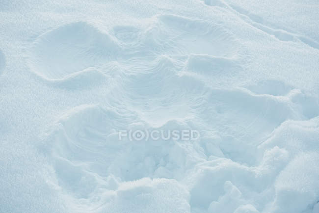 Vue du paysage enneigé en hiver — Photo de stock