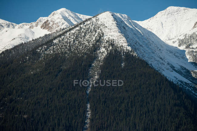 Vista majestosa de belas montanhas cobertas de neve e floresta — Fotografia de Stock
