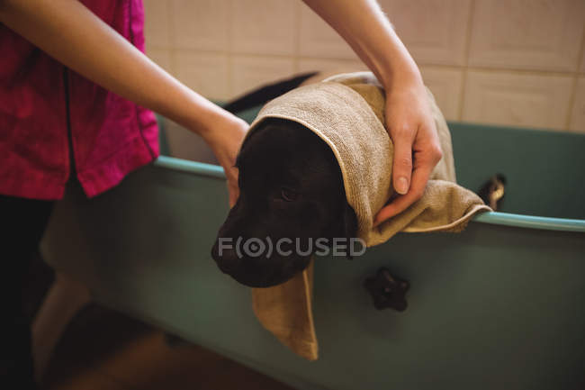 Donna che fa il bagno a un cane in vasca da bagno a centro di cura di cane — Foto stock