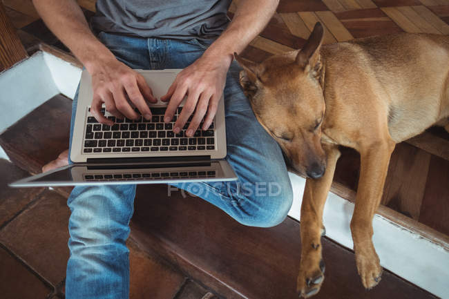 Середина чоловіка, який сидить на сході і використовує ноутбук, собака лежить поруч з ним — стокове фото