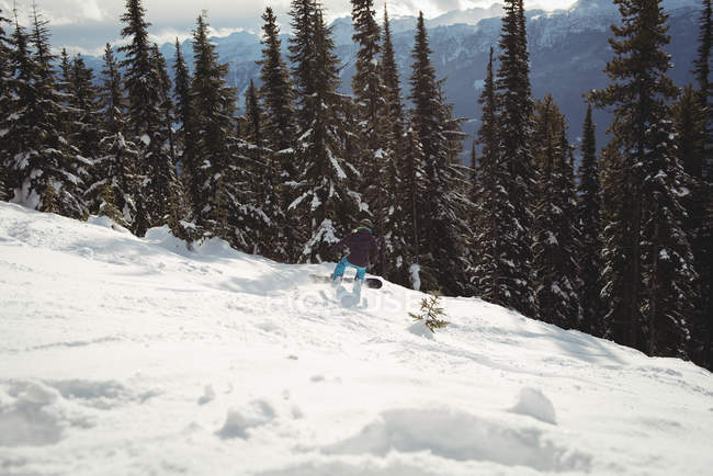 Сноуборд на горе у деревьев зимой — стоковое фото