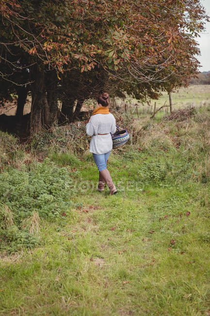 Woman with basket walking in green field — Stock Photo