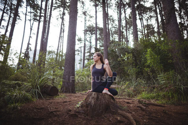 Женщина, занимающаяся йогой в лесу в солнечный день — стоковое фото