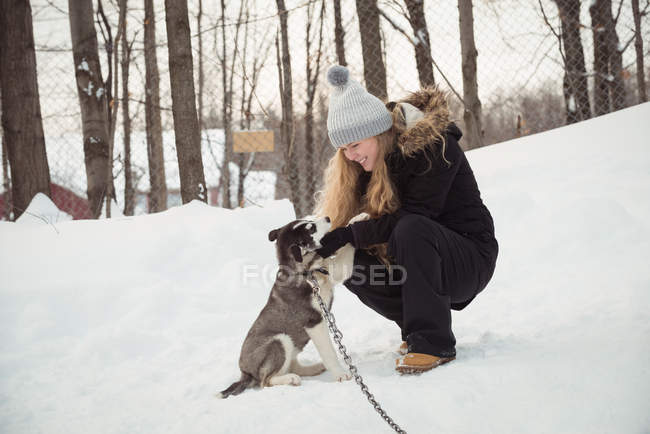 Mulher acariciando jovem cão siberiano durante o inverno — Fotografia de Stock