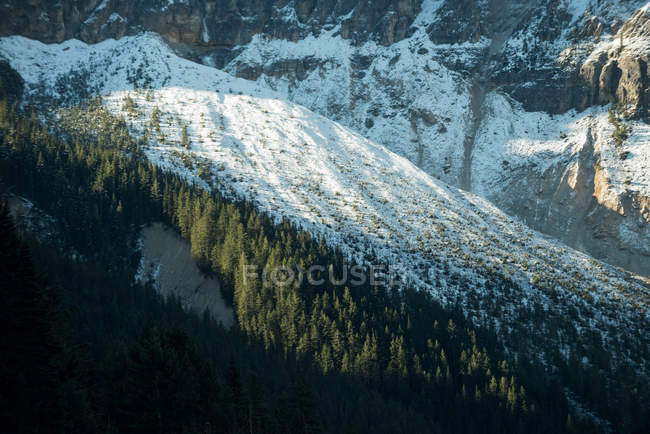 Scenic view of mountains covered with snow in forest — Stock Photo
