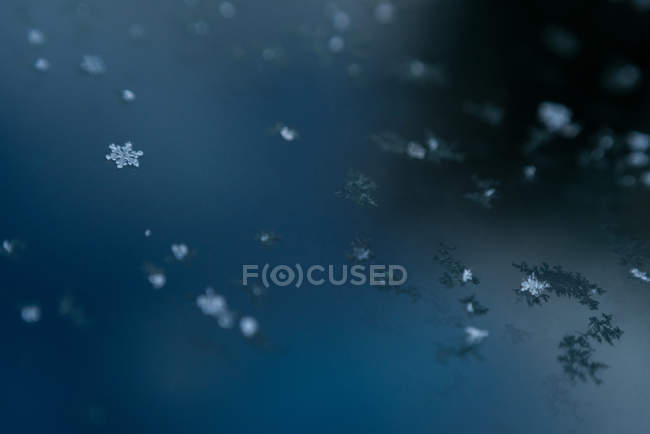 Close-up of snowflakes on surface of lake water during winter — Stock Photo