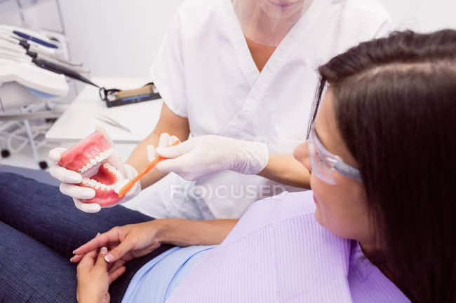 Dentista mostrando dentes modelo para paciente do sexo feminino na clínica odontológica — Fotografia de Stock