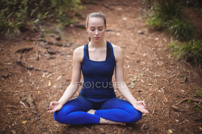 Mujer realizando yoga en el bosque en un día soleado - foto de stock