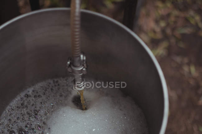 Fixed pipe to beer wort to make beer at home — Stock Photo