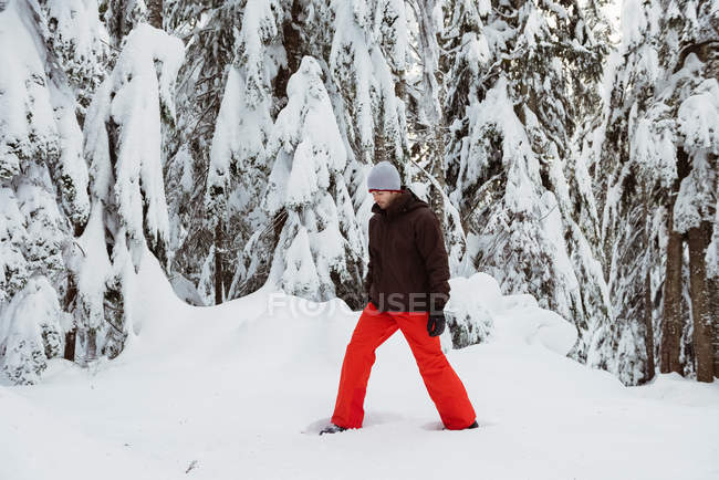 Esquiador caminando en la montaña cubierta de nieve - foto de stock