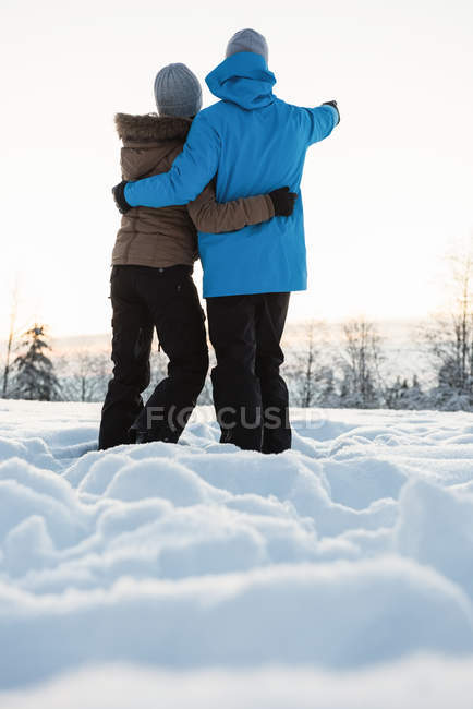Вид сзади на пару стоящую и указывающую на расстояние по снежному ландшафту — стоковое фото