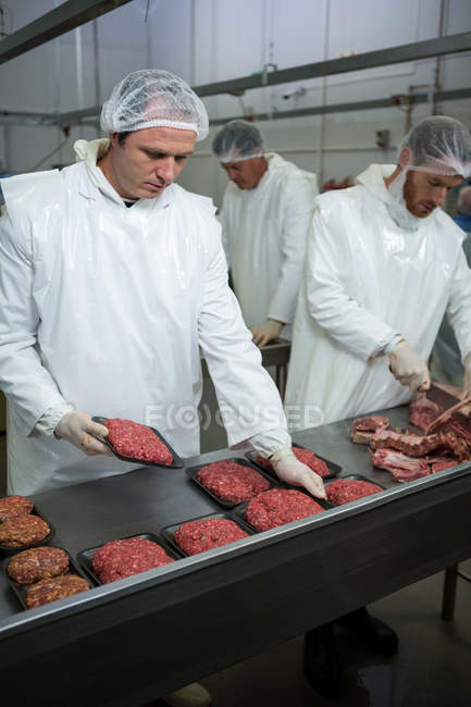 Butchers working together at meat factory — Stock Photo