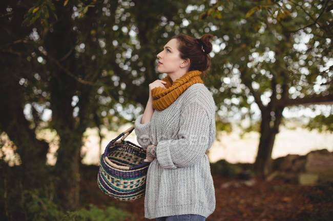 Mujer hermosa con cesta mirando hacia arriba en el campo - foto de stock