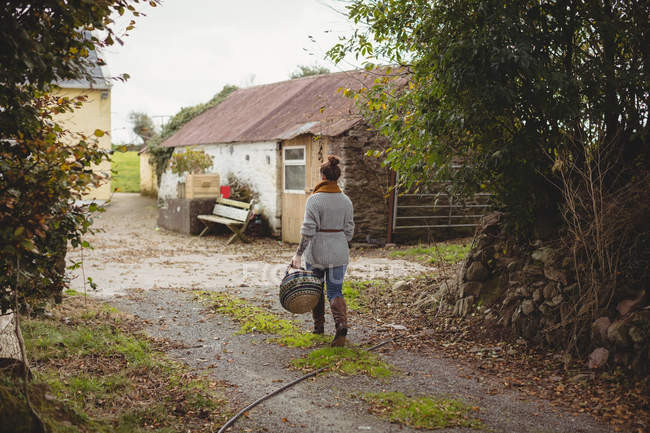 Вид ззаду жінки з кошиком, що йде по дорозі в полі — стокове фото
