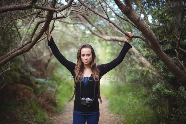 Красивая женщина держит ветку дерева, стоя с камерой в лесу — стоковое фото
