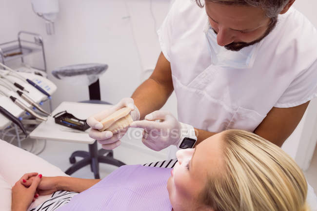 Zahnarzt zeigt Patientin in Klinik Prothesenmodell — Stockfoto