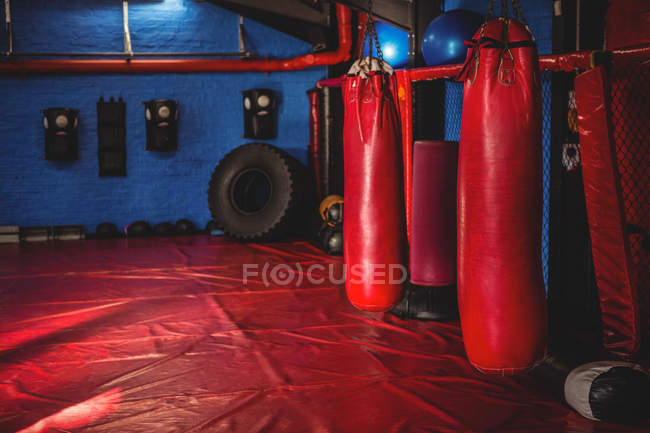 Red punching bags hanging in fitness studio interior — Stock Photo