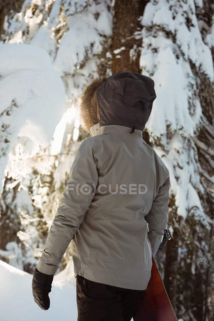 Женщина стоит и держит сноуборд на заснеженной горе — стоковое фото