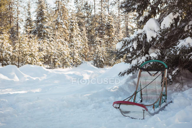 Empty sleigh in snow during winter — Stock Photo