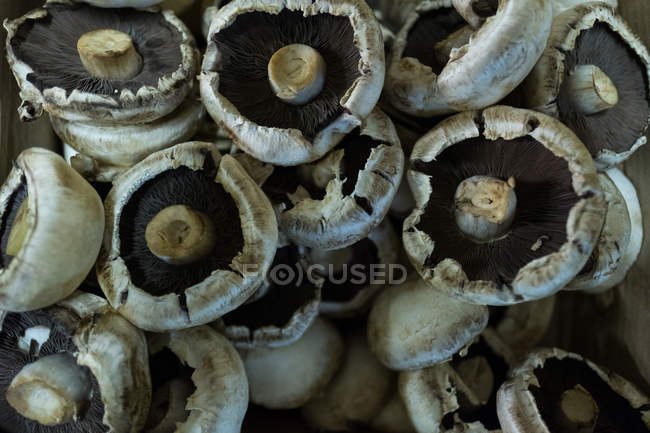 Primo piano di funghi secchi su tavolo — Foto stock