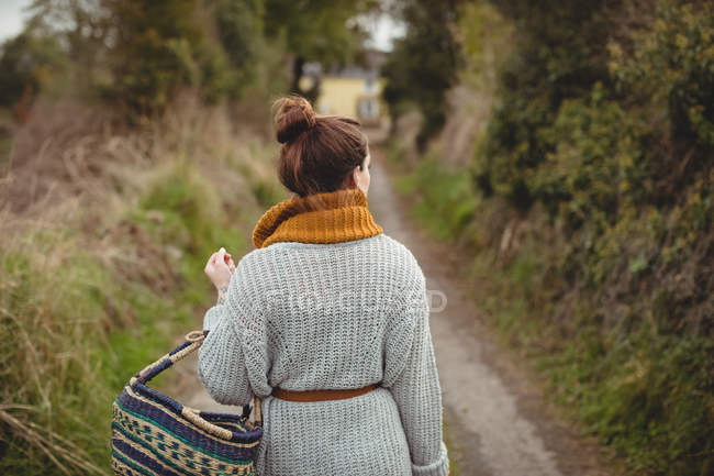 Вид ззаду жінки з кошиком, що йде по дорозі між полями — стокове фото