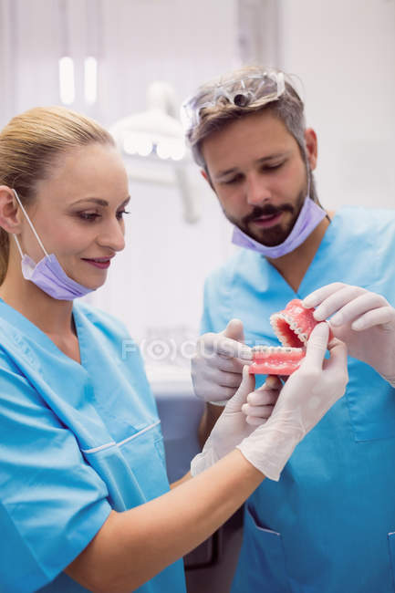 Dentists having discussion on teeth model at dental clinic — Stock Photo