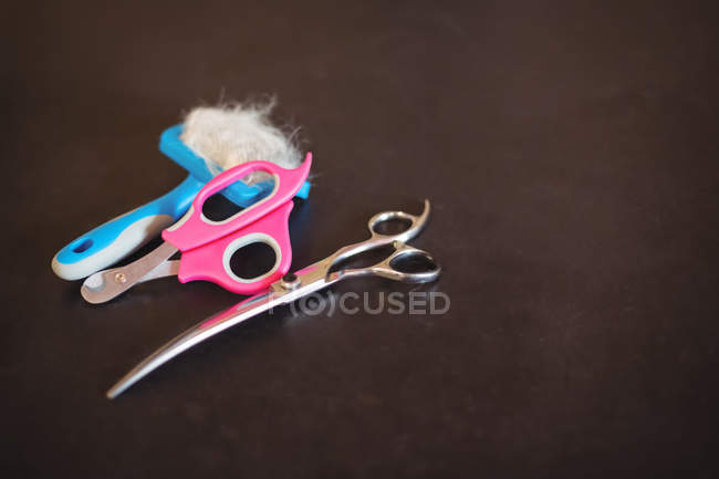 Close-up de tesoura e animal de estimação ferramenta de remoção de cabelo no centro de cuidados do cão — Fotografia de Stock