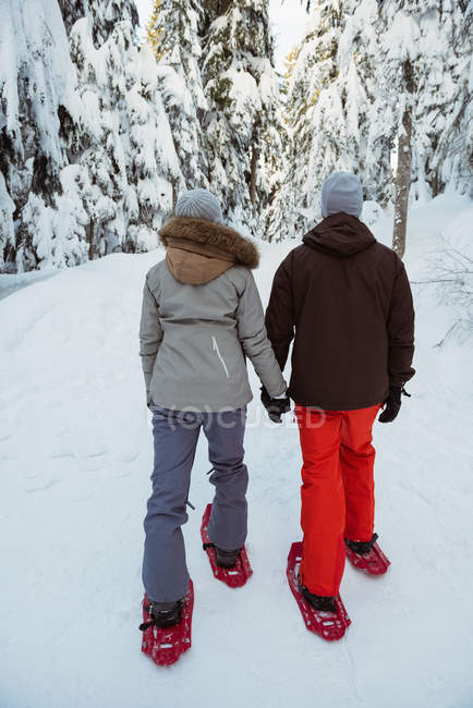 Vue arrière du couple de skieurs marchant sur une montagne enneigée — Photo de stock