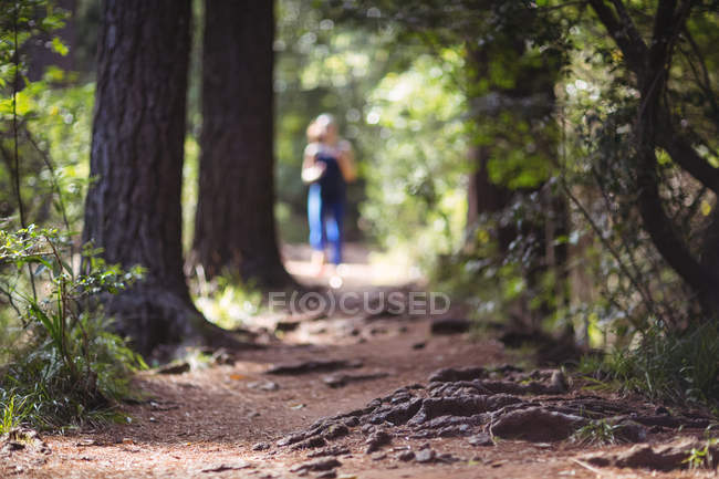 Blurred woman at distance jogging on the forest path — Stock Photo