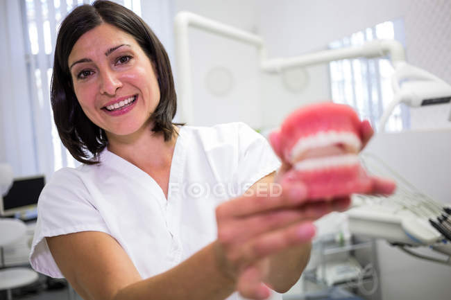 Retrato del dentista femenino sosteniendo un conjunto de dentaduras postizas en la clínica - foto de stock