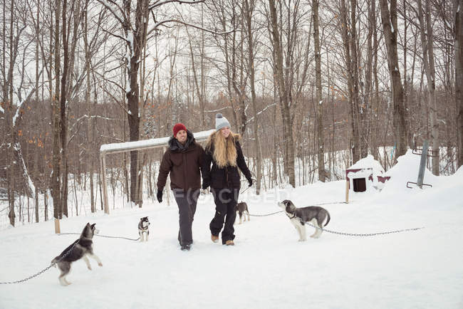 Husky dogs barking to the mushers couple on a snowy landscape — Stock Photo