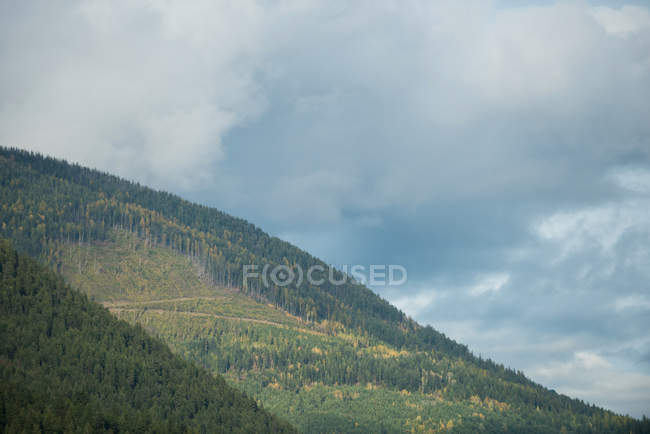 Живописный вид на красивый эвергрин холм на фоне неба и облаков — стоковое фото
