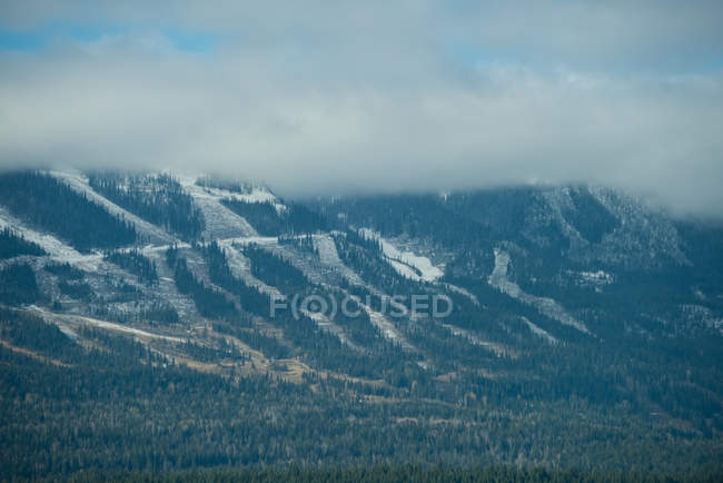Winter scene of beautiful snow covered mountains and forest — Stock Photo