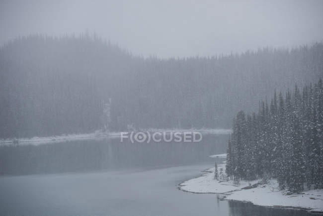 Величественный вид на реку и лес зимой — стоковое фото