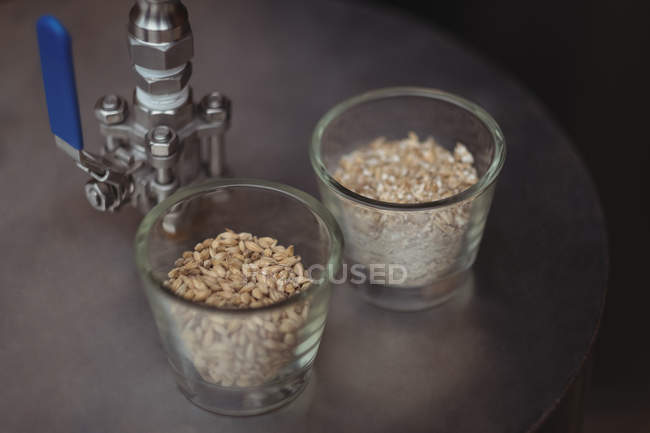Nahaufnahme von Gläsern Gerste auf Bierwürmern zur Herstellung von Bier in der heimischen Brauerei — Stockfoto