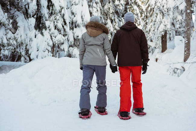 Vue arrière du couple de skieurs marchant sur une montagne enneigée — Photo de stock
