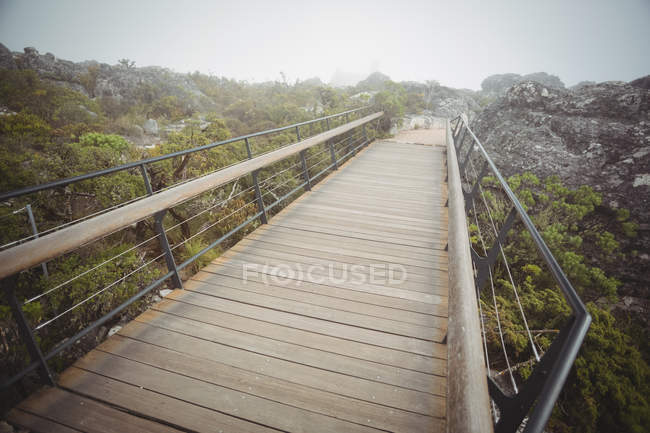 Вид на дерев'яний пішохідний міст у лісі — стокове фото