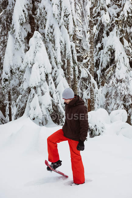 Hombre en invierno desgaste caminar en nieve cubierto paisaje - foto de stock