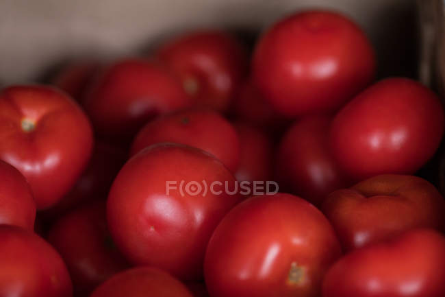 Крупный план красных помидоров — стоковое фото