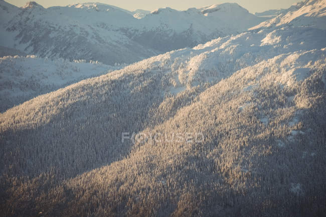 View of snow covered mountains during winter — Stock Photo