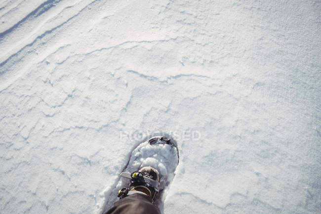 Gros plan du pied de skieur sur la descente enneigée — Photo de stock