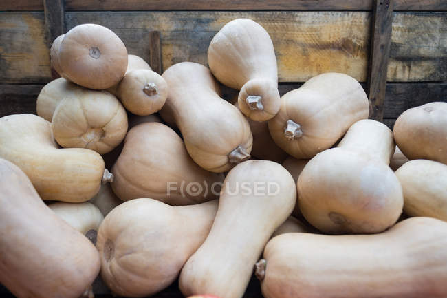 Close-up of fresh pumpkins in wooden container — Stock Photo