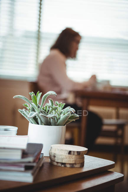 Pile de livres, plante en pot sur la table et femme prenant le repas en arrière-plan à la maison — Photo de stock