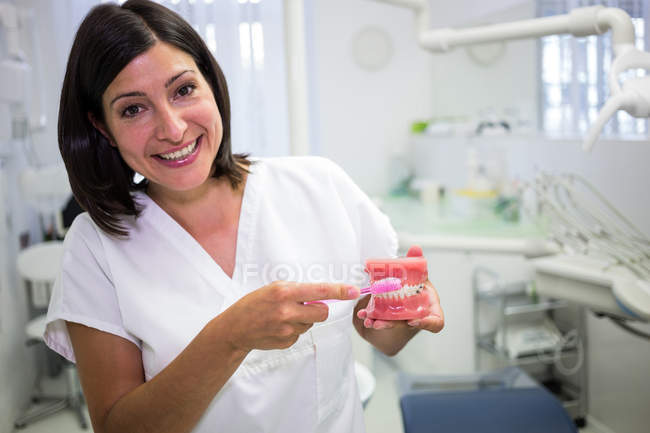Femme dentiste nettoyage modèle de mâchoire dentaire avec brosse à dents en clinique — Photo de stock