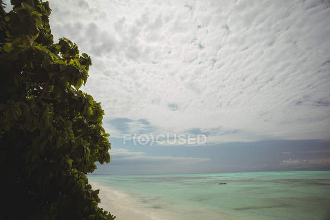 Vue panoramique de la belle plage de la mer et de l'eau au crépuscule — Photo de stock