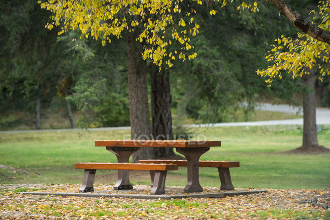 Empty bench beside a lake in the forest park — Stock Photo