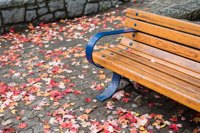 Пустой скамейке с опавшими листьями вокруг на тротуаре — стоковое фото