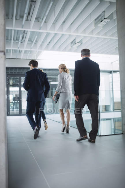 Вид ззаду бізнес-леді, що ходить з колегами всередині офісної будівлі — стокове фото
