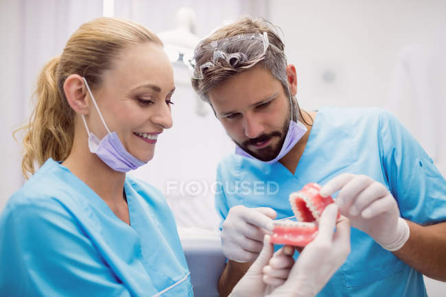 Dentists having discussion on teeth model at dental clinic — Stock Photo
