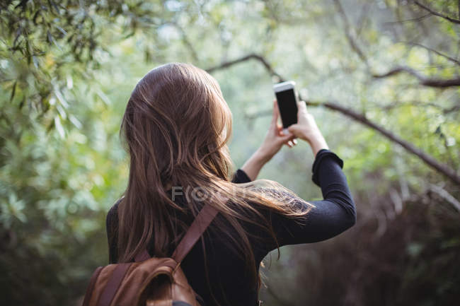Вид ззаду жінки, яка бере селфі на мобільний телефон у лісі — стокове фото